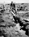 1959-beautification-031b-working-on-sewer-line-in-wet-hole.JPG