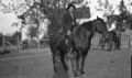 1905-1915-otto-0074-otto-on-horse-1600.jpg