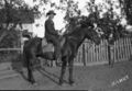 1905-1915-otto-0182-young-man-on-horse-1600.jpg