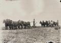 1910-rml-0183a-plowing-001-1600.jpg