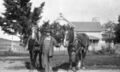 1920-1930-ed-014a-unknown-man-two-draft-horses-plaster-house-1600.jpg