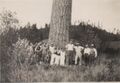 1933-1936-rml-0315c-young-people-beside-large-tree-1600.jpg