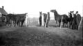 1920-1930-ed-053a-ed-horses-locust-grove-school-house-1600.jpg