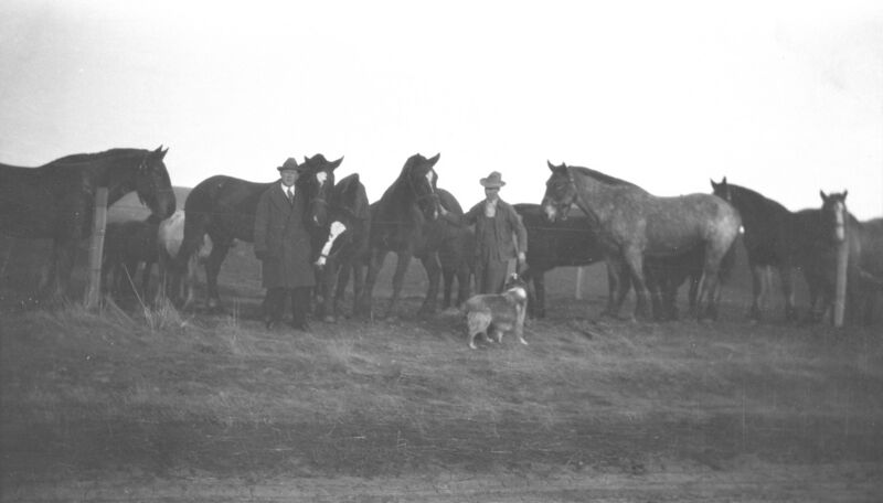 File:1920-1930-ed-026a-horses-1600.jpg