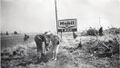 1962-beautification-173a-sign-cleanup.JPG