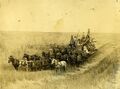 1905-1920-fb-0005-horse-drawn-combine-harvest-near-reardan.jpg