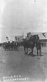 1912-lchs-0041a-mule-day-parade-broadway-west-1600.jpg