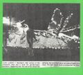 1983-royalty-003-clipping-1600.jpg