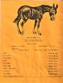 1979-mule-days-016-1600.jpg