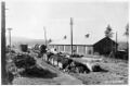 1911-10-26-bbrr-047-construction-camp-area.jpg