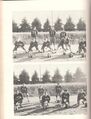 1953-rhs-yearbook-38-football-line-set-pictures-1600.jpg