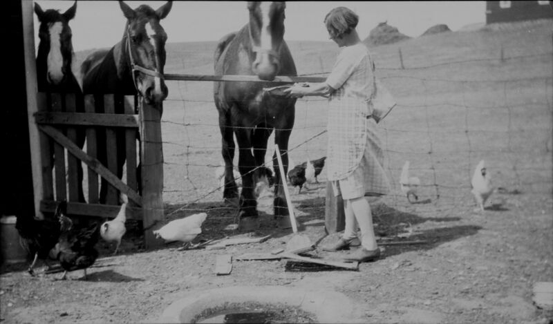 File:1920-1930-ed-048a-evelyn-horses-chickens-1600.jpg