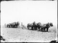 1900-1915-cap-040-7-horse-8-horse-plowing-1600.jpg