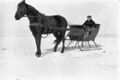 1905-1915-otto-0254-horse-sleigh-otto-1600.jpg