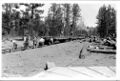 1911-08-22-bbrr-023-1-193ne-building-rr-line-in-woods.jpg