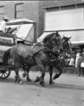 1905-1915-otto-0297-mule-day-scharman-wagon-bowie-block-1600.jpg