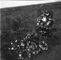 1905-1915-otto-0095-wreaths-on-grave-evelyn-ferch-question-1908-1600.jpg