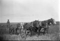 1905-1915-otto-0122-plowing-1600.jpg