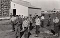 1959-beautification-018a-boy-scout-cleanup-community-hall.JPG