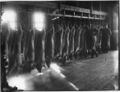 1900-1915-cap-038-hanging-pigs-meat-market-1600.jpg