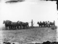 1900-1915-cap-041-8-horse-8-horse-plowing-1600.jpg