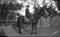 1905-1915-otto-0182-young-man-on-horse-merged-1600.jpg