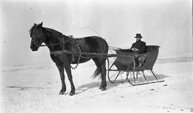 File:1905-1915-otto-0048-horse-sleigh-1600.jpg