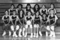 199x-dan-print-00471-volleyball-team-1600.jpg