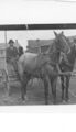 1900-1915-cap-009-man-dog-boy-wagon-mattes-lumber-raymer-store-cropped-1600.jpg