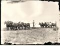 1910-rml-0183-plowing-001.jpg