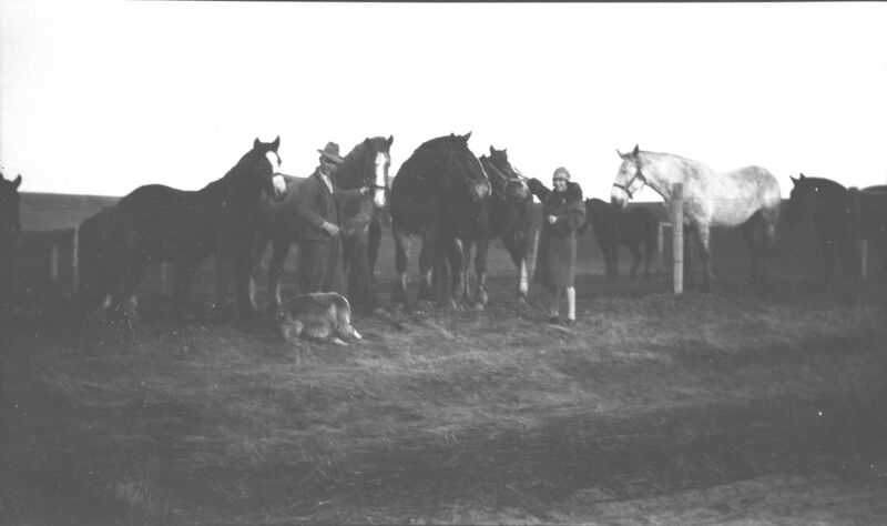 File:1920-1930-ed-043a-horses-maybe-evelyn-1600.jpg