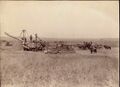 1910-kirk-0043a-plaster-threshing-1600.jpg