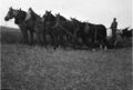 1920-1930-ed-060-horse-drawn-plow-1600.jpg