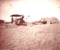 1900-rml-0005a-steam-engine-thresher-cropped-1600.jpg