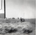 1962-beautification-172b-west-sign-site-cleanup.JPG