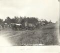 1904-1910-mule-day-001-parade-1600.jpg