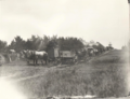 1904-1910-mule-day-001a-parade.png