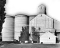 1953-mac-0022-L87-1.75064-53-edwall-grain-growers-elevators.jpg