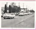 1966-mule-day-032-parade-1600.jpg