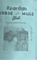 1986-mule-days-042-1600.jpg