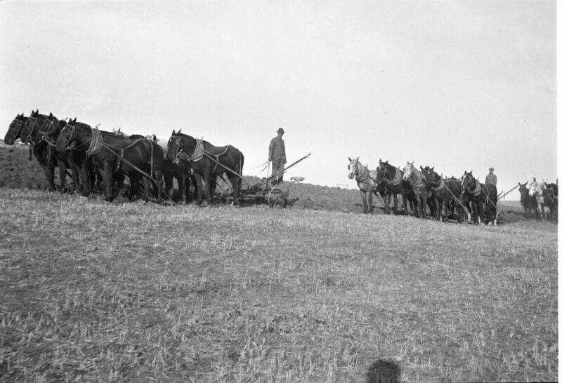 File:1920-1930-ed-065-two-horse-drawn-plow-1600.jpg