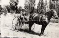 1910-rml-0206b-man-with-horse-and-light-buggy.jpg