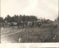 1904-1910-mule-day-000-parade-1600.jpg