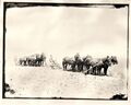 1910-rml-0182-plowing-000.jpg