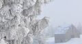 2000-2020-fb-0049-heavy-frost-on-pine-old-barn.jpg