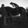 1905-1915-otto-0323-dog-on-horse-1600.jpg