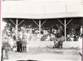 1911-rml-0343-reardan-ballpark-and-grandstand-1600.jpg