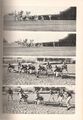 1955-rhs-yearbook-33a-football-scrimmages-1600.jpg