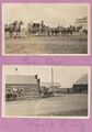 1904-1910-mule-day-006-stage-coach-milling-king-blacksmith-1600.jpg