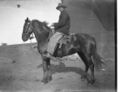 1905-1915-otto-0065-man-on-horse-1600.jpg